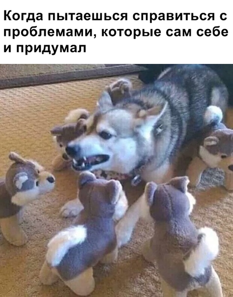 Курилка- разговоры на любые темы - Бодибилдинг форум AnabolicShops