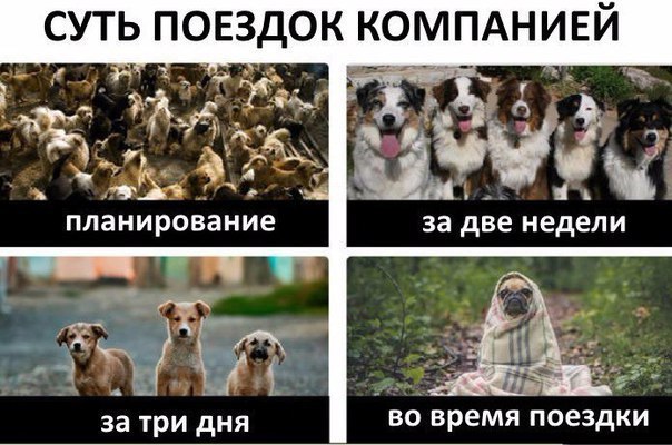 Курилка- разговоры на любые темы - Бодибилдинг форум AnabolicShops