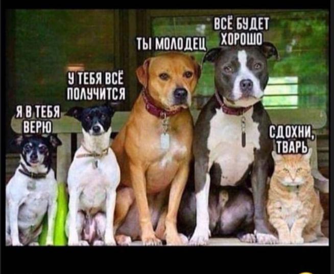 Курилка- разговоры на любые темы - Бодибилдинг форум AnabolicShops