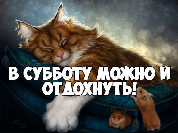 Интернет Магазин nadopinge.com - Бодибилдинг форум AnabolicShops