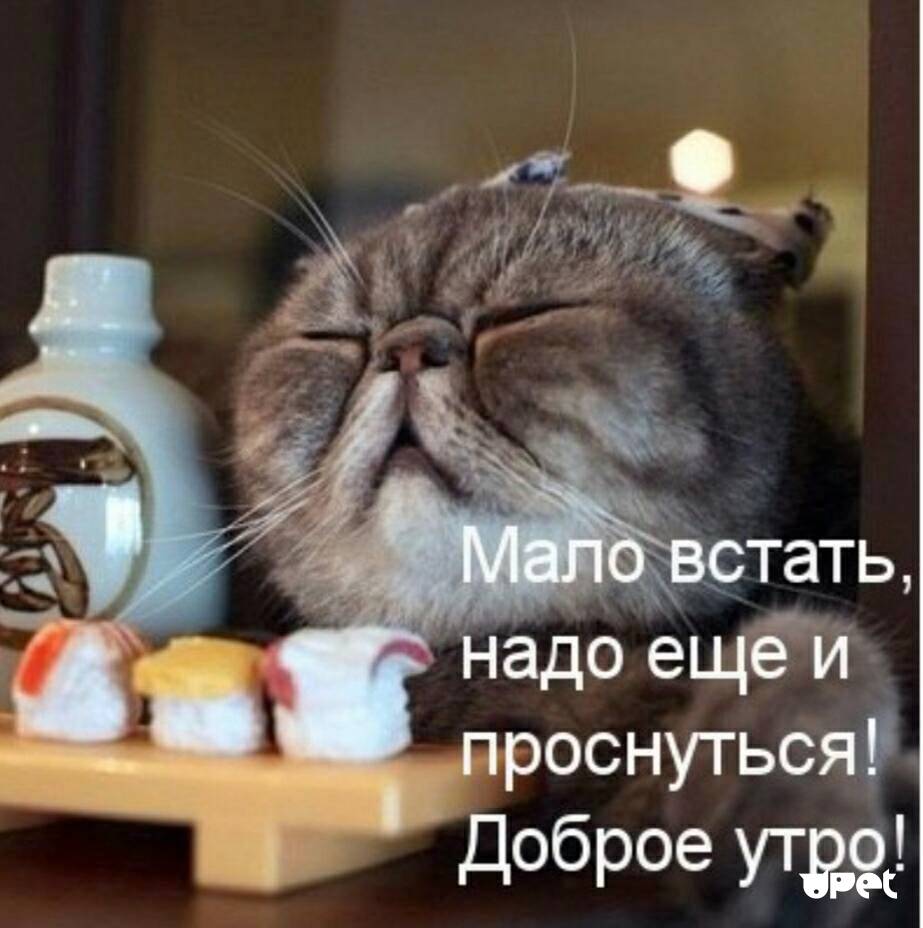 Homosteron.com оф.дилер Zphc|CanadaPeptides|Ergo Mrc - Бодибилдинг форум AnabolicShops