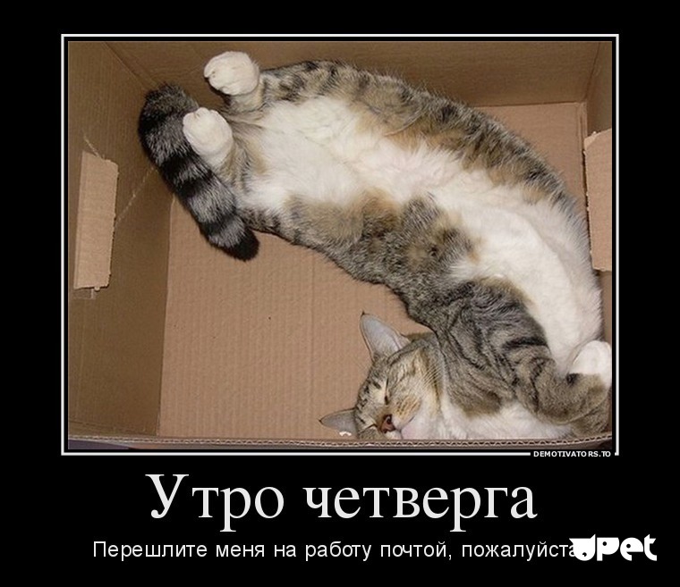 Homosteron.com оф.дилер Zphc|CanadaPeptides|Ergo Mrc - Бодибилдинг форум AnabolicShops