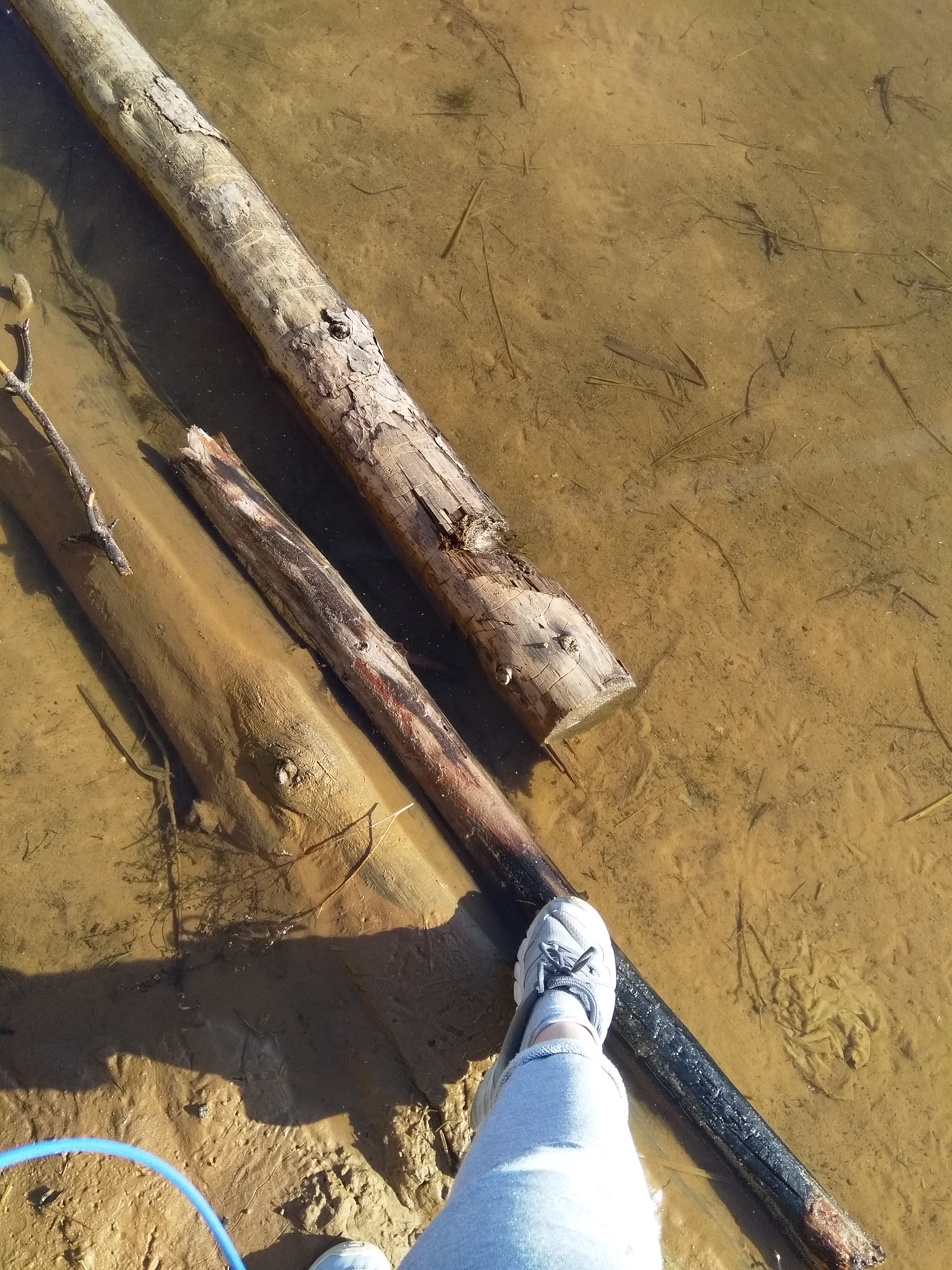 Ученица чародея! - Бодибилдинг форум AnabolicShops