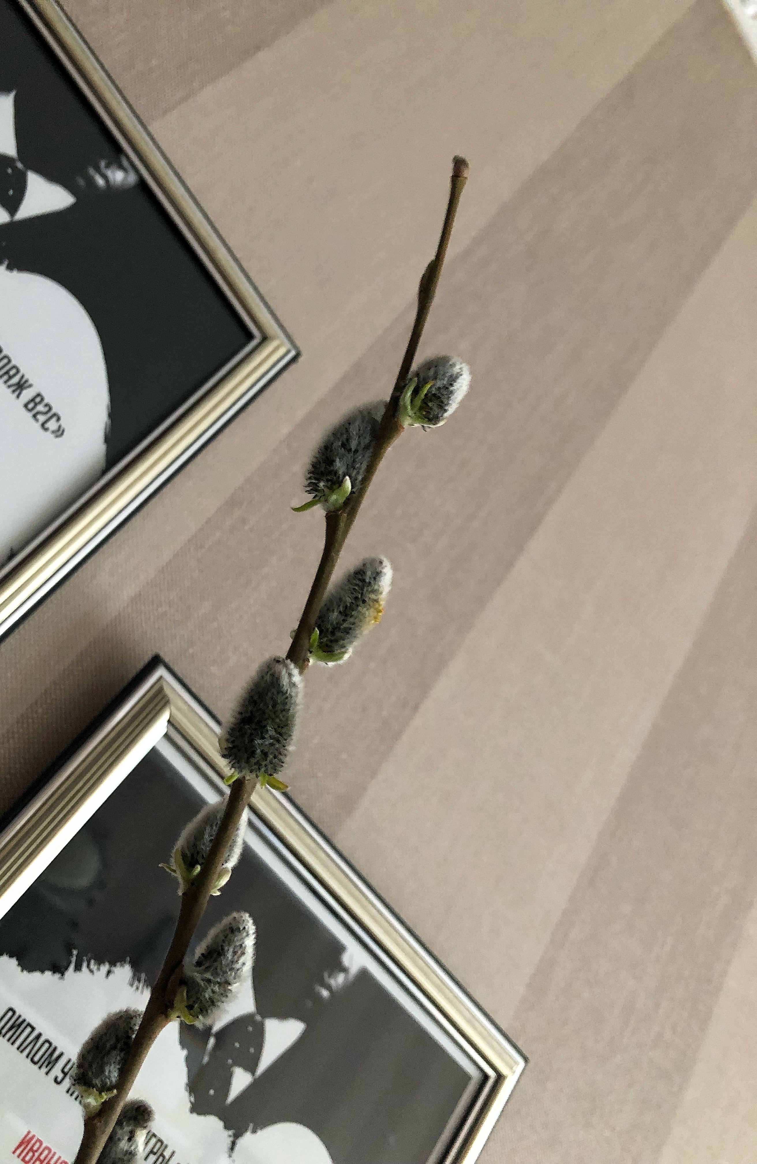 UltraPharm - это качественная фармакология с большим ассортиментом. - Бодибилдинг форум AnabolicShops