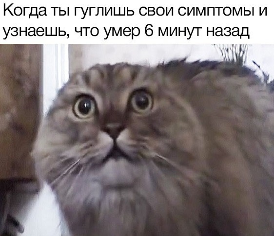 Курилка- разговоры на любые темы - Бодибилдинг форум AnabolicShops