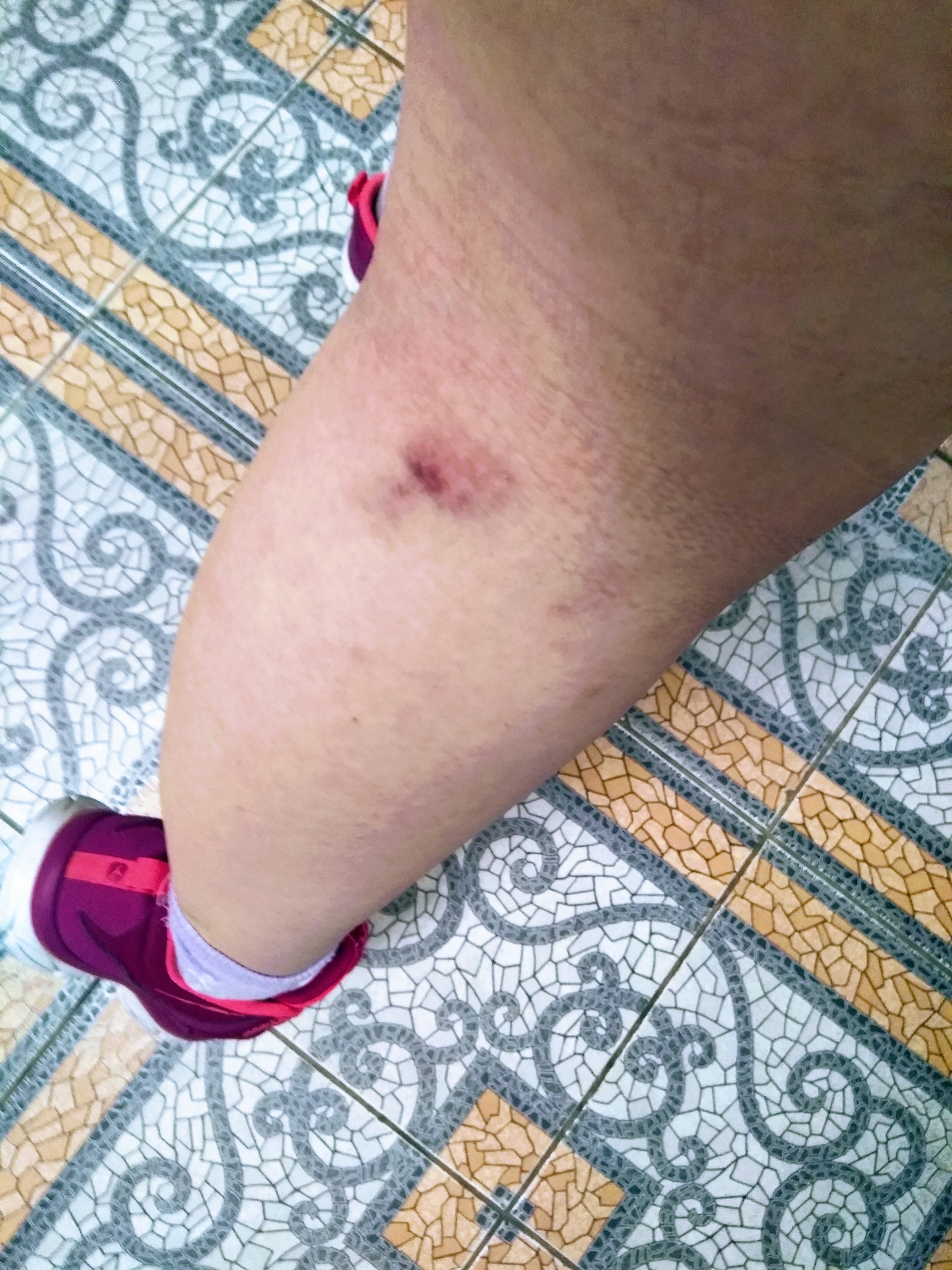 Ученица чародея! - Бодибилдинг форум AnabolicShops