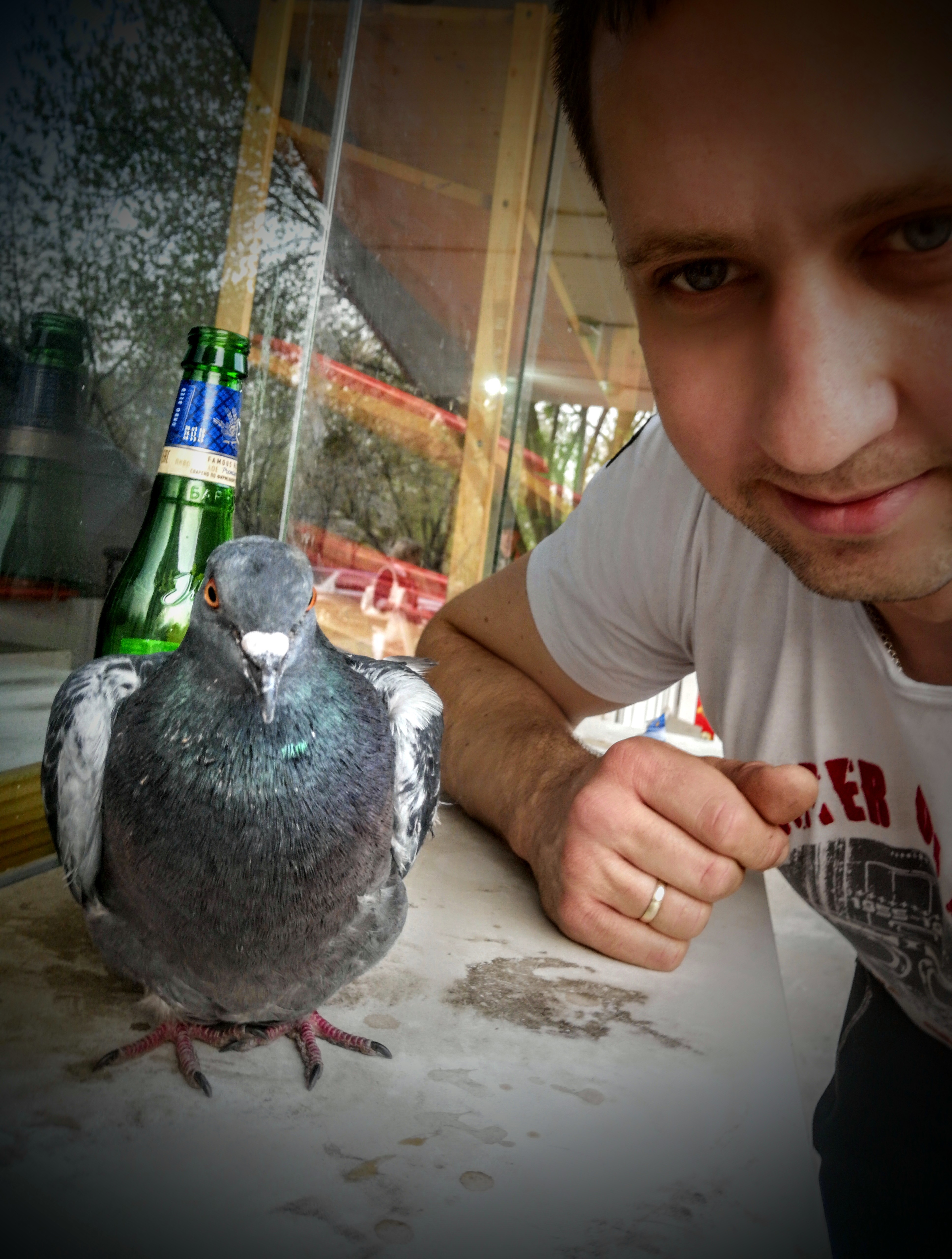 Идеальная диета - 46 дней на пиве пройдены! - Бодибилдинг форум AnabolicShops