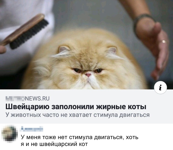 Курилка- разговоры на любые темы - Бодибилдинг форум AnabolicShops