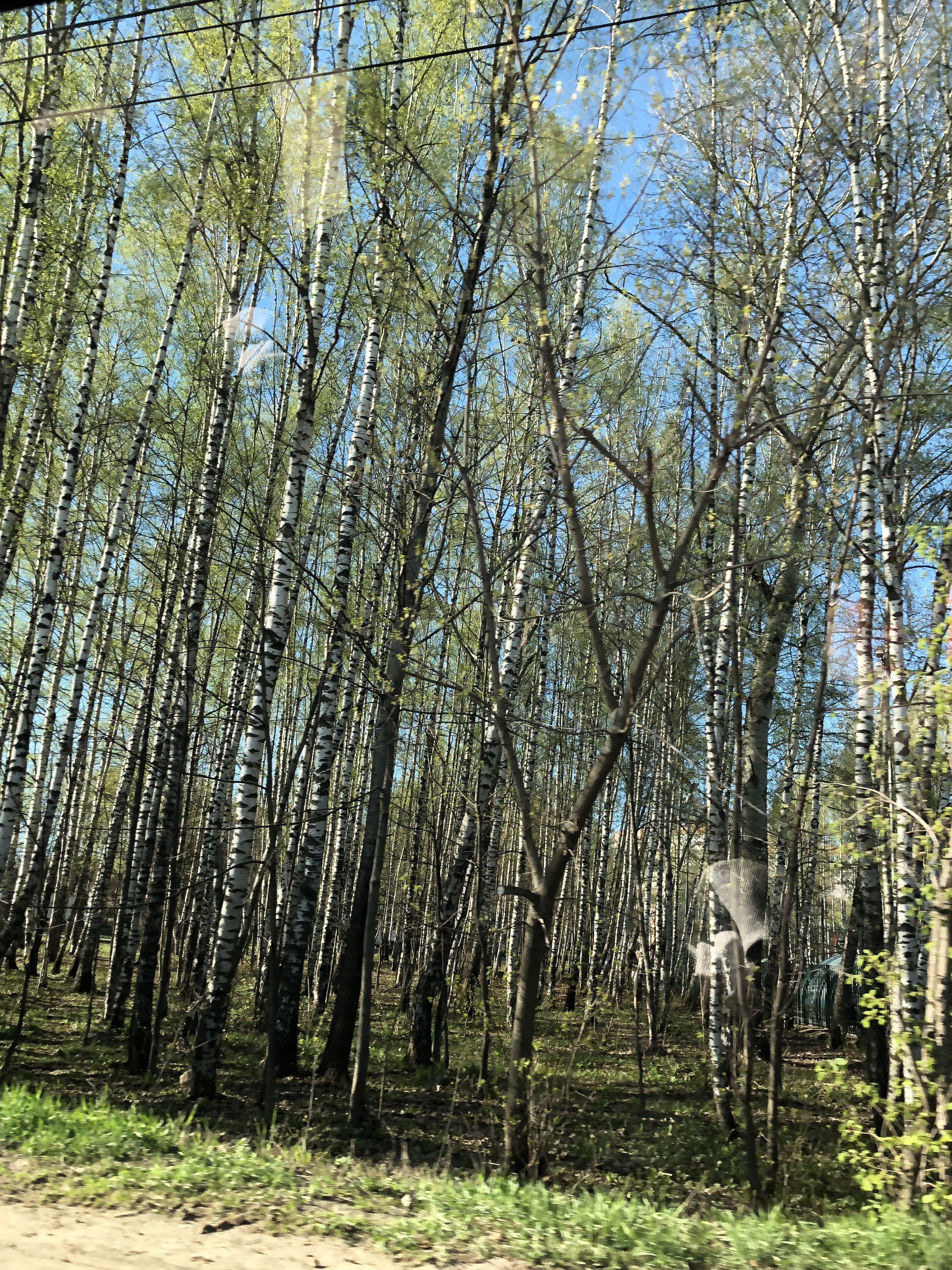 UltraPharm - это качественная фармакология с большим ассортиментом. - Бодибилдинг форум AnabolicShops