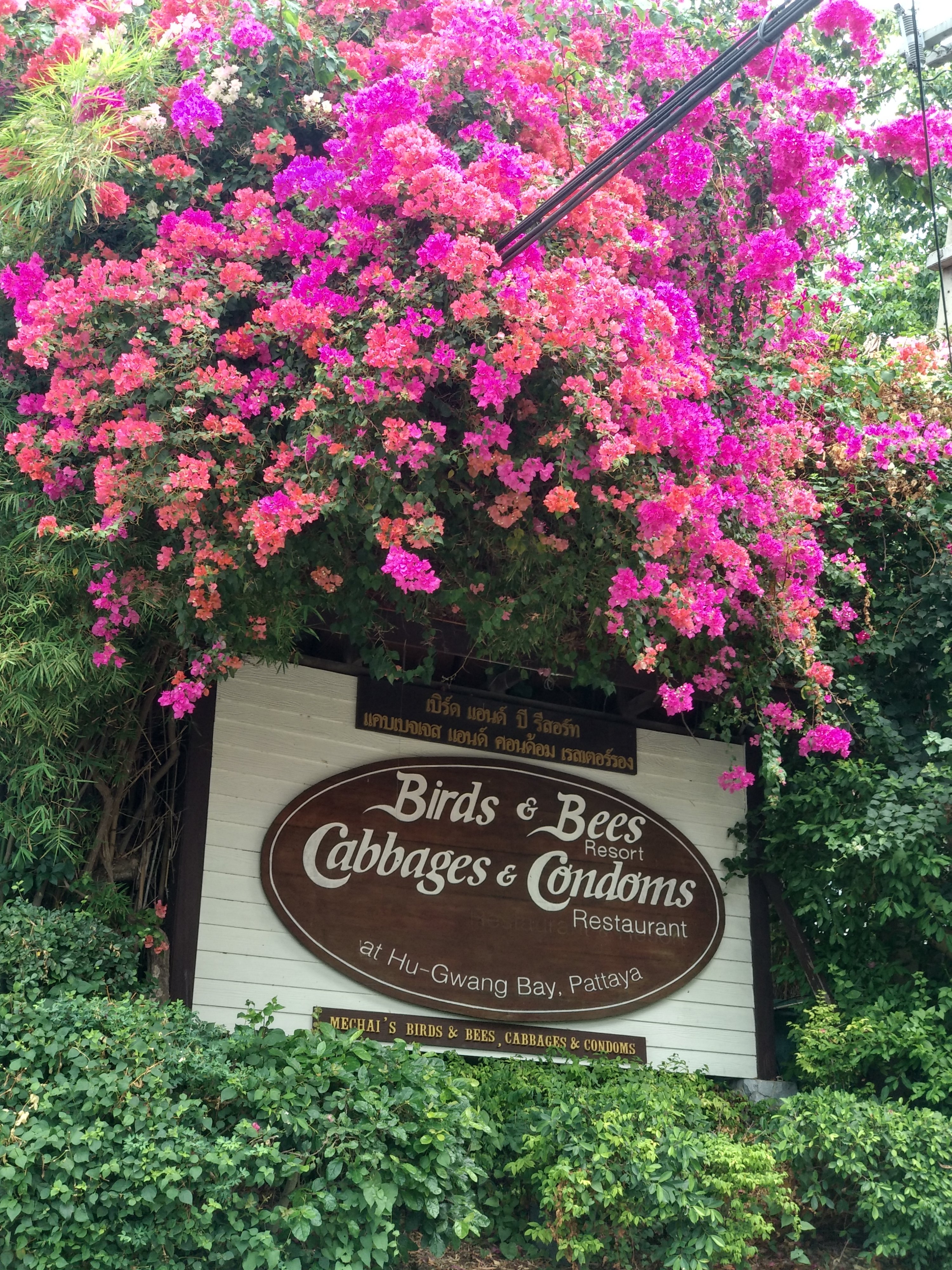 Metanhouse.biz - временно не заказывать! - Бодибилдинг форум AnabolicShops