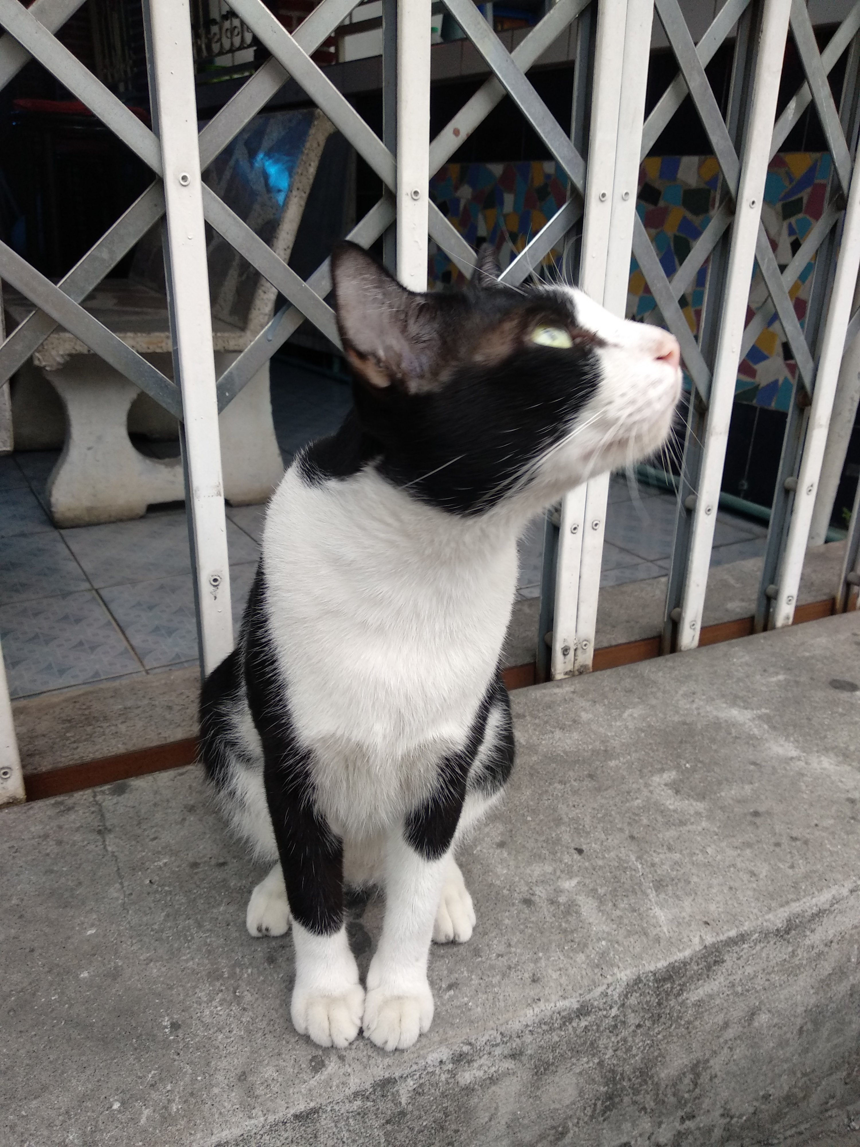 Ardent small steps to a big goal - Бодибилдинг форум AnabolicShops