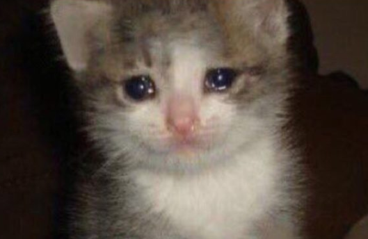 Ученица чародея! - Бодибилдинг форум AnabolicShops