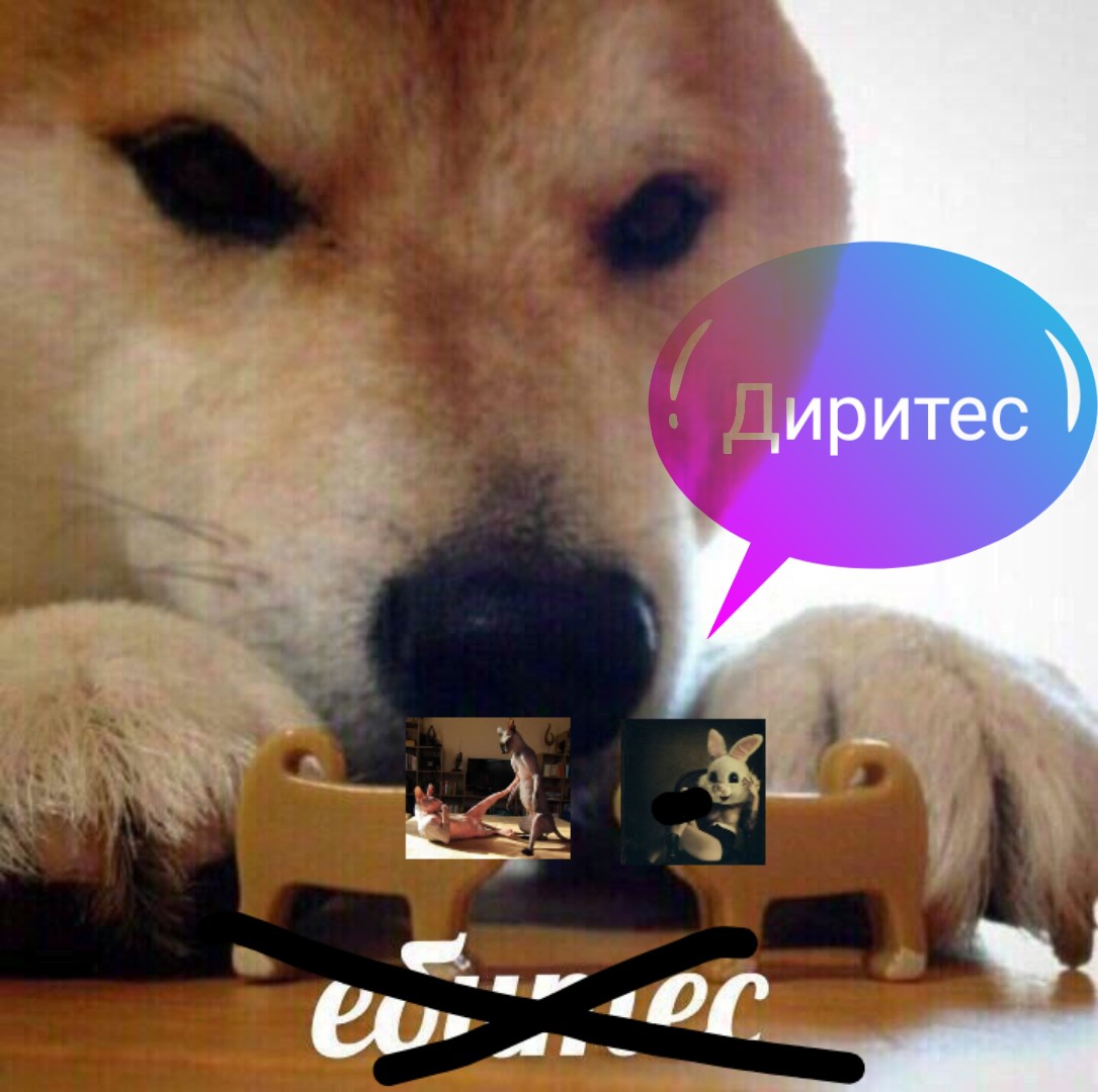 Zaia_Zolotaia - Wellness Lady - Бодибилдинг форум AnabolicShops