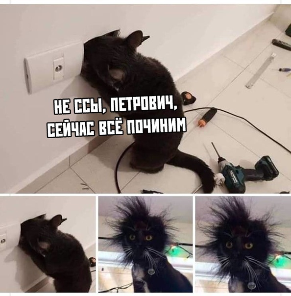 Курилка- разговоры на любые темы - Бодибилдинг форум AnabolicShops