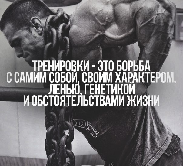 Интернет Магазин nadopinge.com - Бодибилдинг форум AnabolicShops