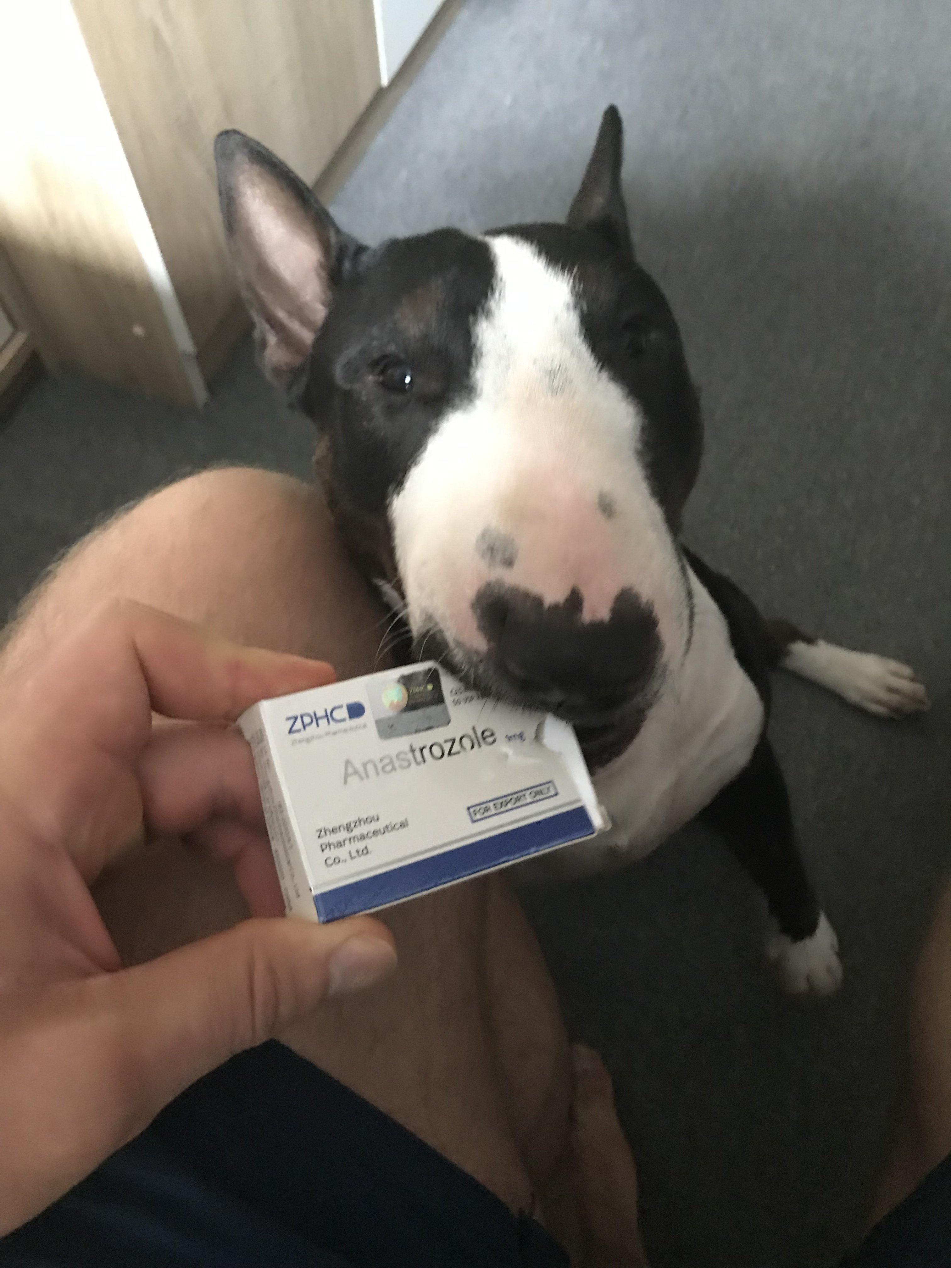 Homosteron.com оф.дилер Zphc|CanadaPeptides|Ergo Mrc - Бодибилдинг форум AnabolicShops