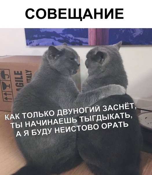 Курилка- разговоры на любые темы - Бодибилдинг форум AnabolicShops