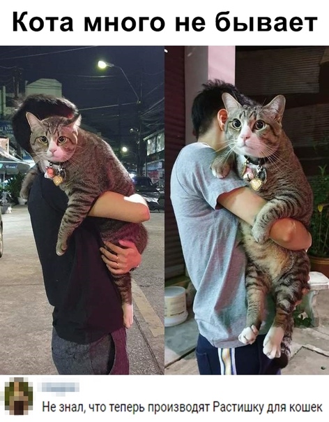 Курилка- разговоры на любые темы - Бодибилдинг форум AnabolicShops