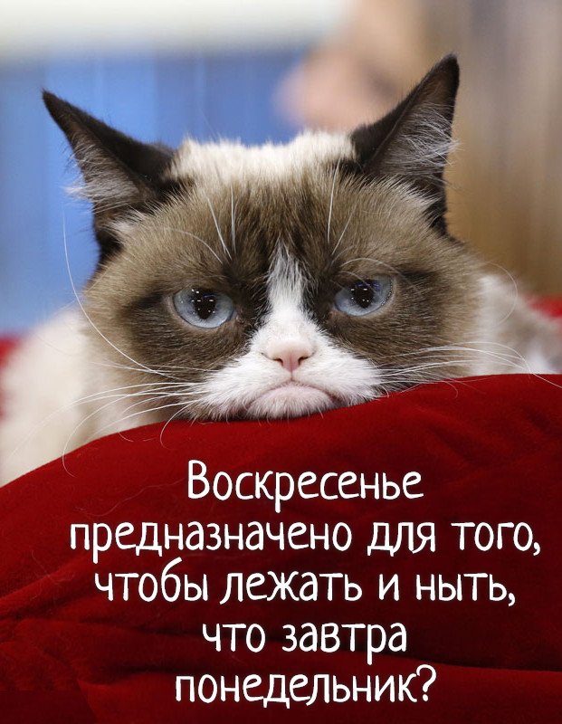 Интернет Магазин nadopinge.com - Бодибилдинг форум AnabolicShops