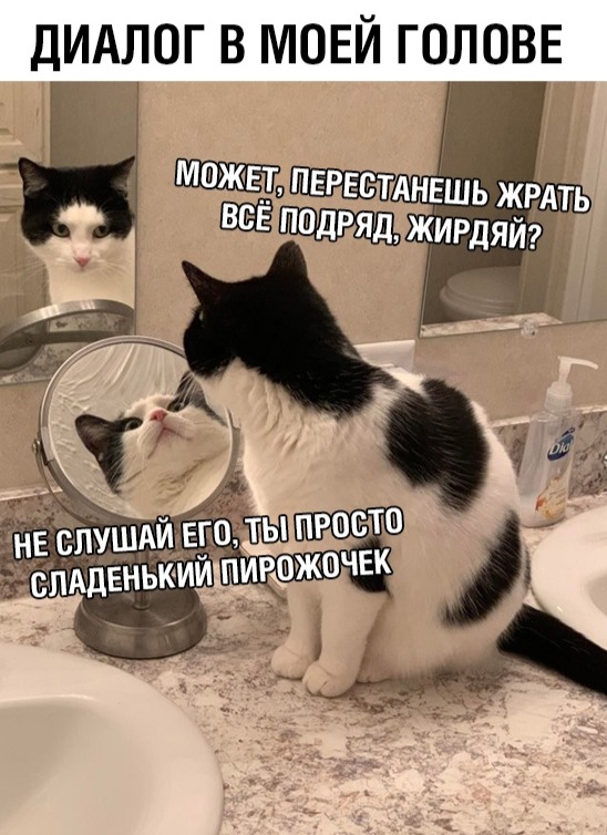 Курилка- разговоры на любые темы - Бодибилдинг форум AnabolicShops