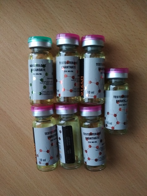 SYZEN.BIZ - Низкая цена/высокое качество. - Бодибилдинг форум AnabolicShops