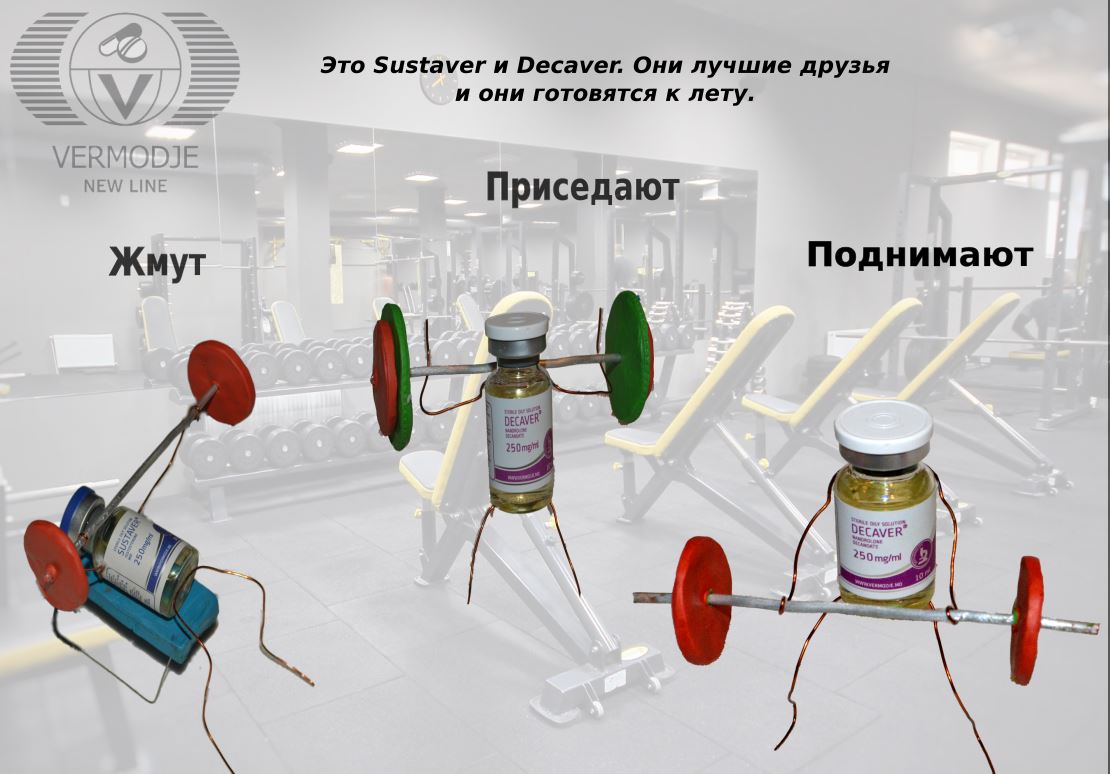 Конкурс! 1000$ от Vermodje - Бодибилдинг форум AnabolicShops