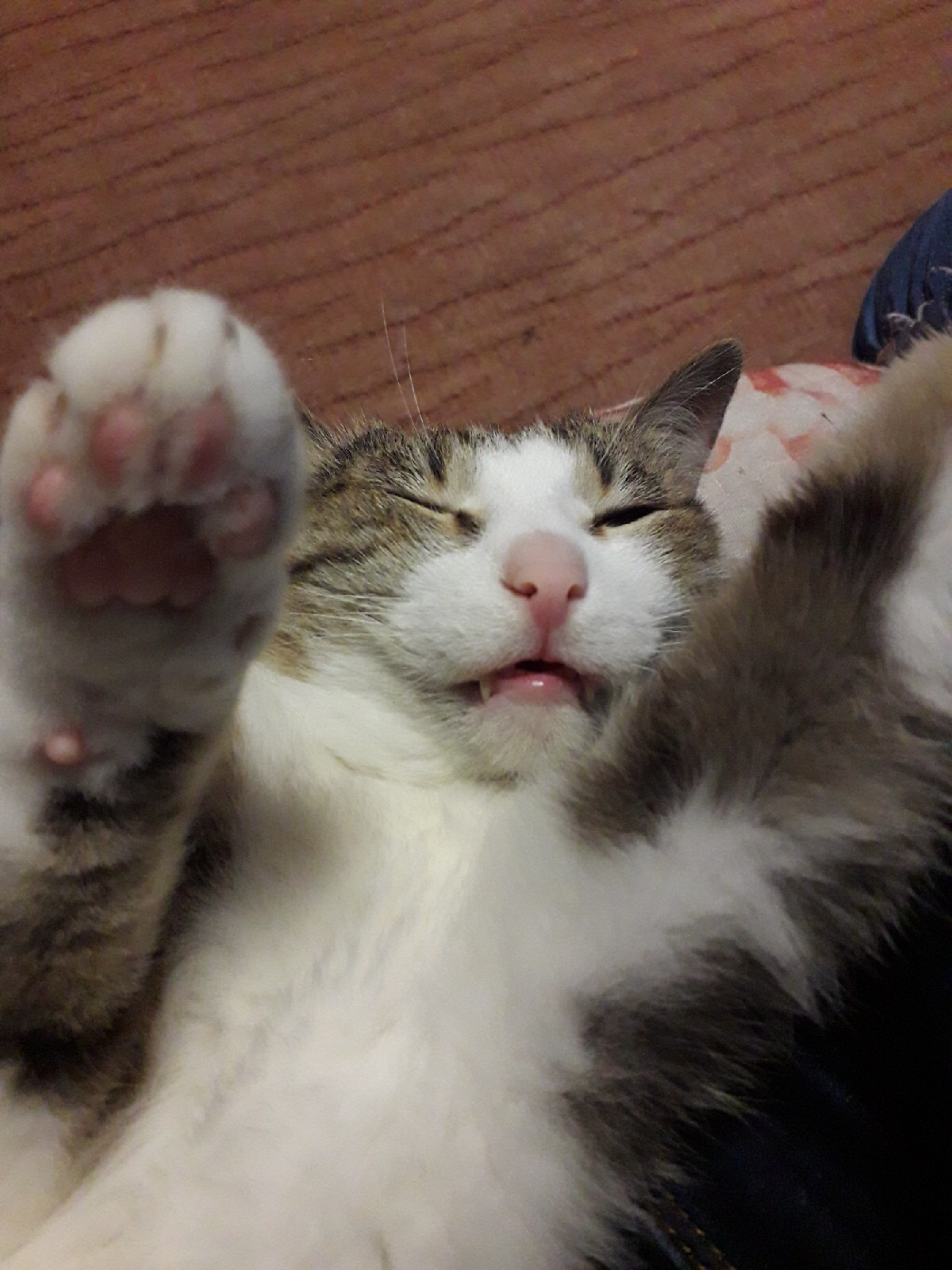 easygeneric.shop-все для ПКТ, секса и многое другое. Доступ через ВПН! - Бодибилдинг форум AnabolicShops