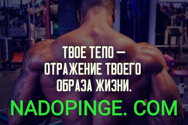Интернет Магазин nadopinge.com - Бодибилдинг форум AnabolicShops