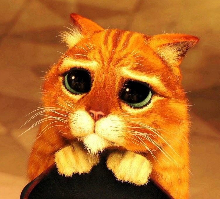 SYZEN.BIZ - Низкая цена/высокое качество. - Бодибилдинг форум AnabolicShops