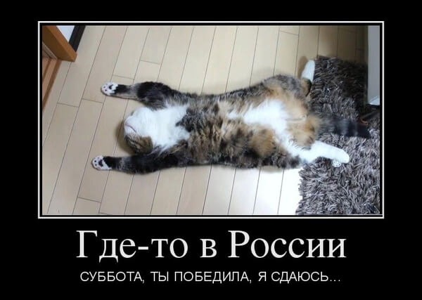 Интернет Магазин nadopinge.com - Бодибилдинг форум AnabolicShops