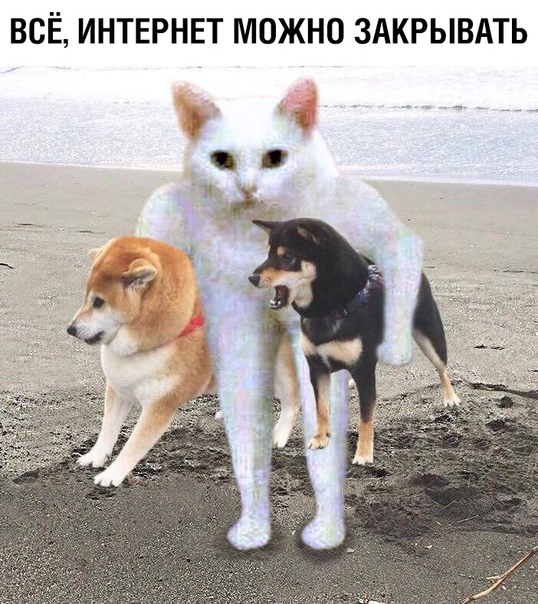 Курилка- разговоры на любые темы - Бодибилдинг форум AnabolicShops