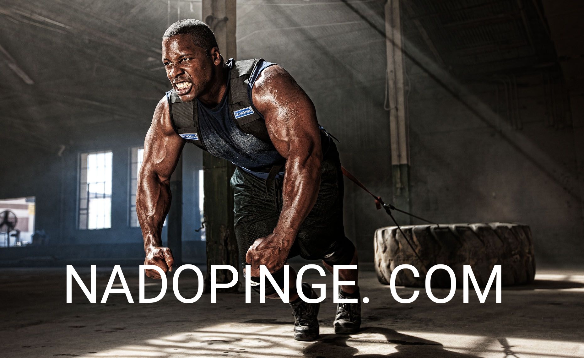 Интернет Магазин nadopinge.com - Бодибилдинг форум AnabolicShops