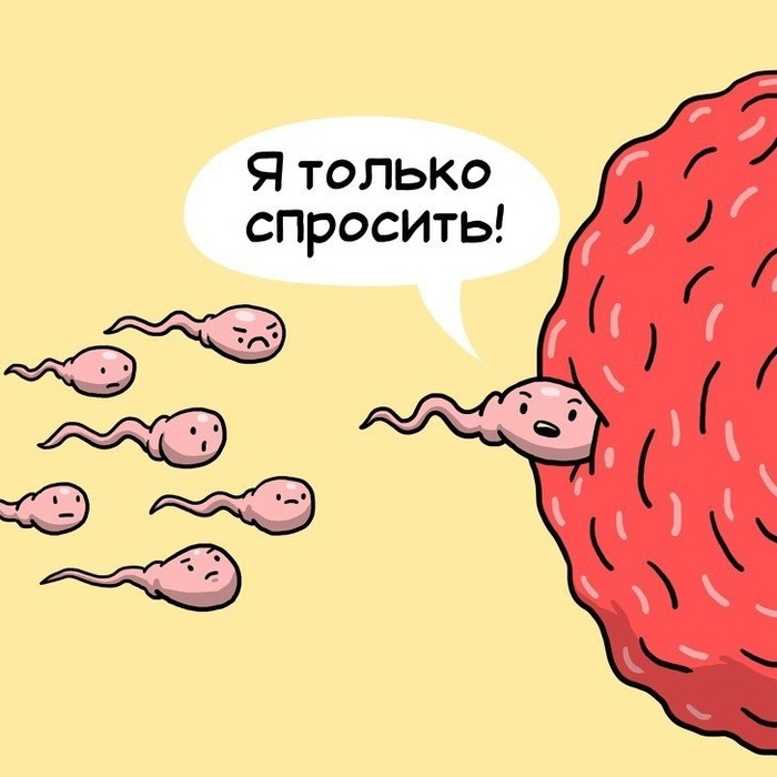 Анекдоты обо всем - Бодибилдинг форум AnabolicShops