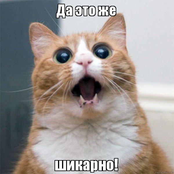 АКЦИЯ "2020" - Бодибилдинг форум AnabolicShops