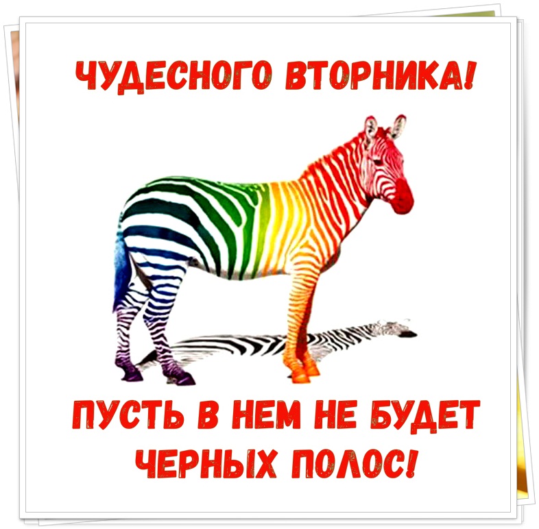 Интернет Магазин nadopinge.com - Бодибилдинг форум AnabolicShops