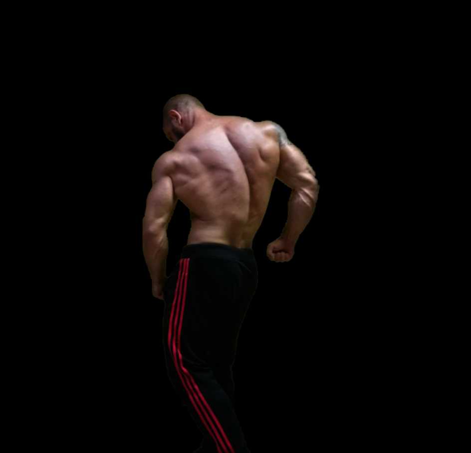 Шарпей team|TSpecPS - Бодибилдинг форум AnabolicShops