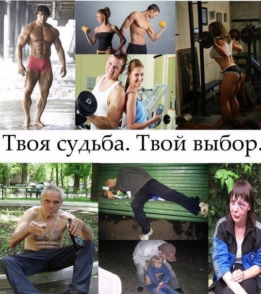 Интернет Магазин nadopinge.com - Бодибилдинг форум AnabolicShops