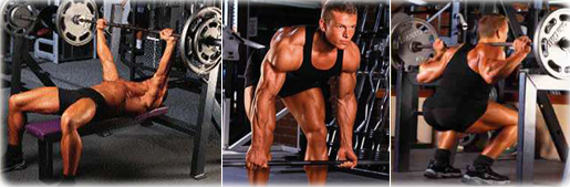 Базовые упражнения  на массу - Бодибилдинг форум AnabolicShops