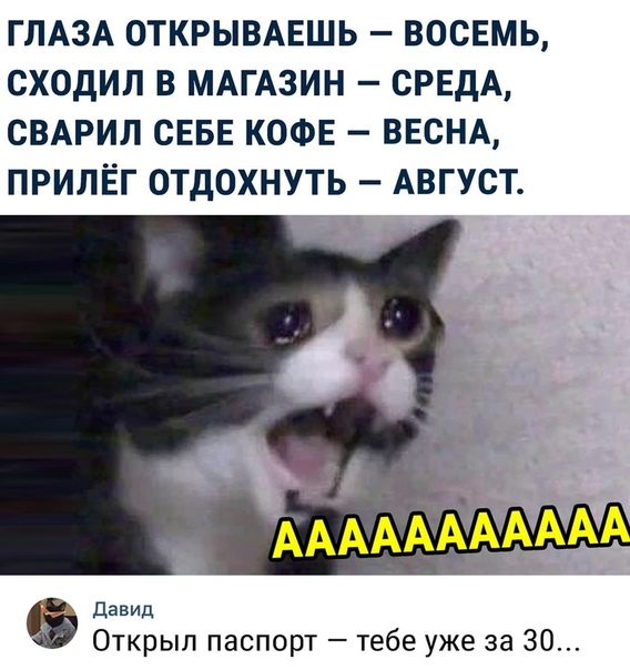 Курилка- разговоры на любые темы - Бодибилдинг форум AnabolicShops