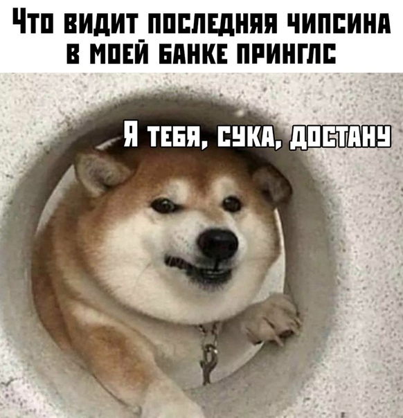 Курилка- разговоры на любые темы - Бодибилдинг форум AnabolicShops