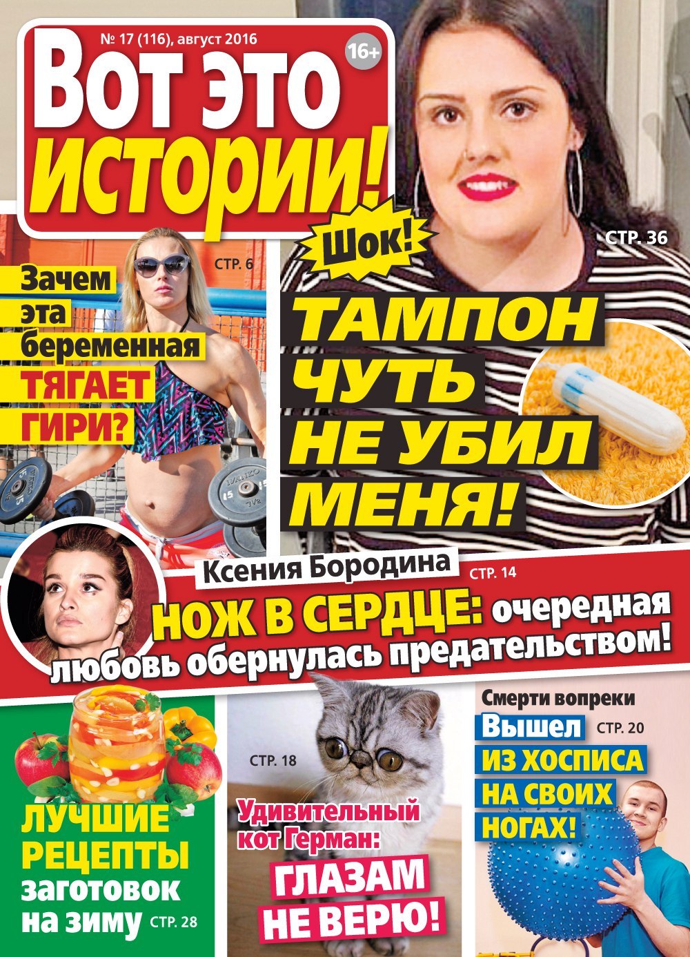 Ученые назвали простой способ защитить еду от чаек - Бодибилдинг форум AnabolicShops