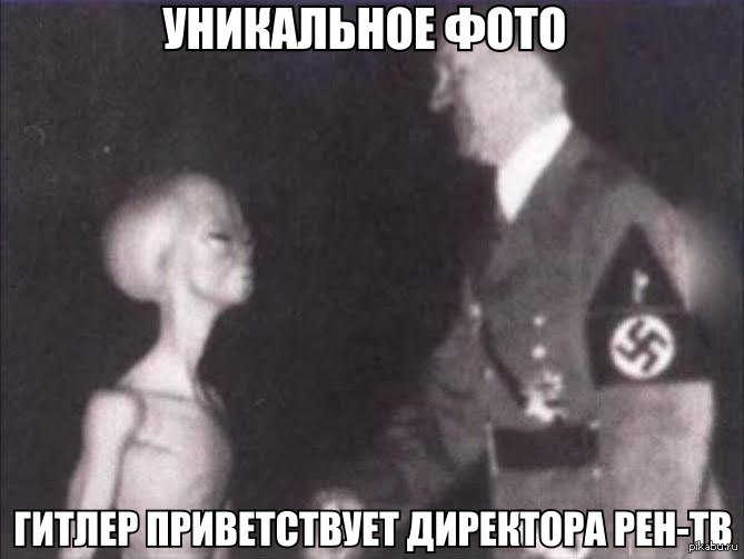 Ученые назвали простой способ защитить еду от чаек - Бодибилдинг форум AnabolicShops