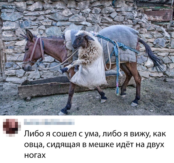 Курилка- разговоры на любые темы - Бодибилдинг форум AnabolicShops