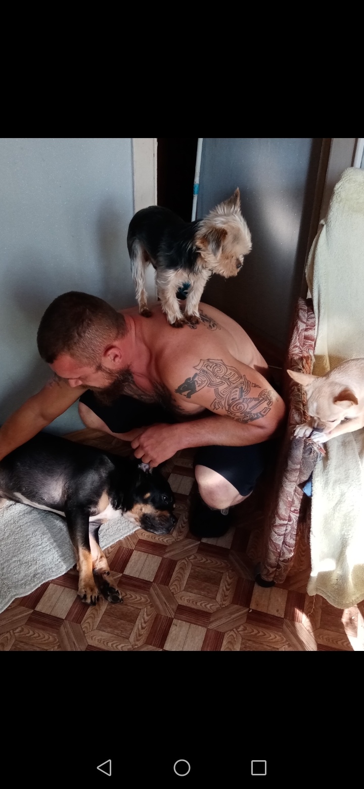 easygeneric.shop-все для ПКТ, секса и многое другое. Доступ через ВПН! - Бодибилдинг форум AnabolicShops