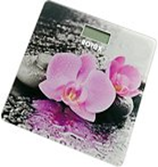 Сила всему голова! Моё видение первых лет тренировок - Бодибилдинг форум AnabolicShops