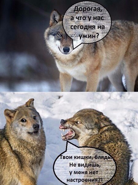 Курилка- разговоры на любые темы - Бодибилдинг форум AnabolicShops