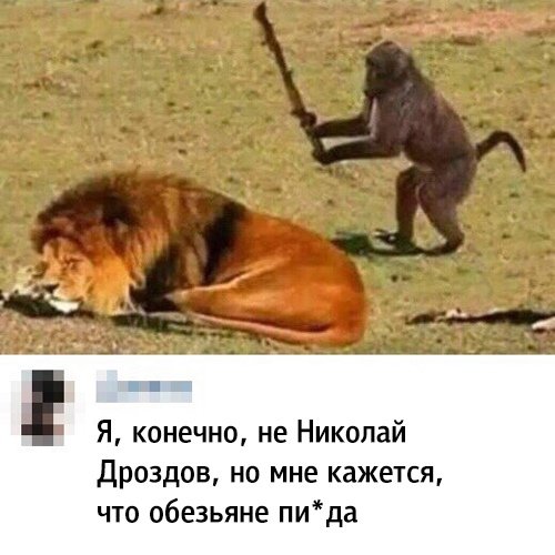 Курилка- разговоры на любые темы - Бодибилдинг форум AnabolicShops