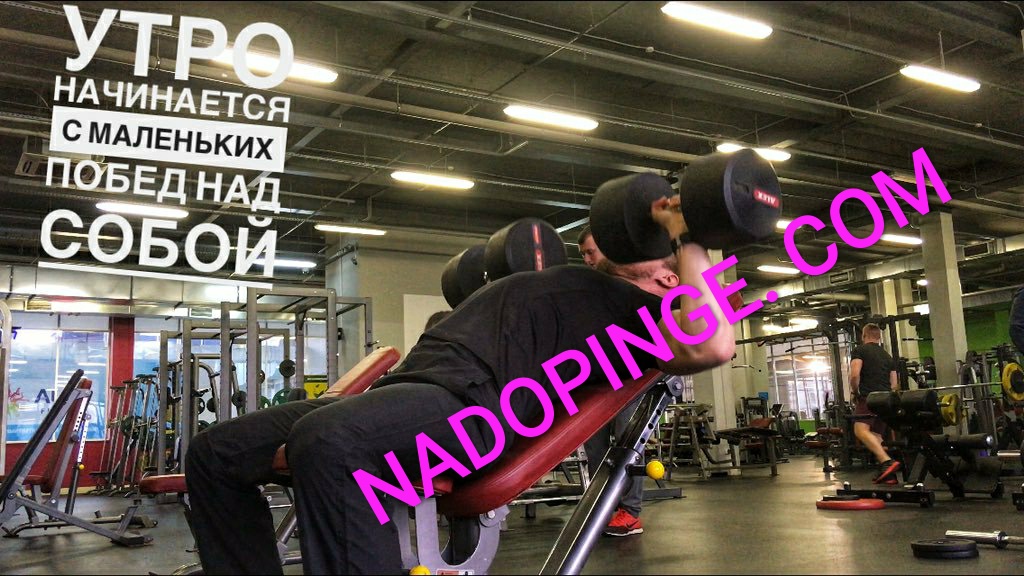 Интернет Магазин nadopinge.com - Бодибилдинг форум AnabolicShops