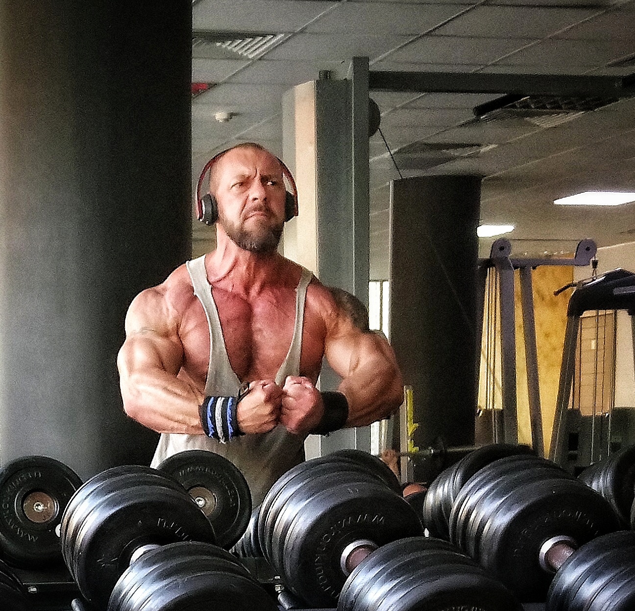 Шарпей team|TSpecPS - Бодибилдинг форум AnabolicShops