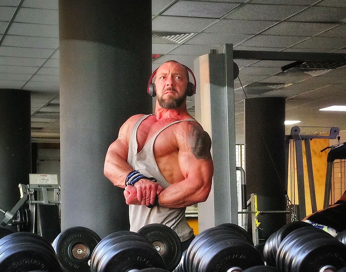 Шарпей team|TSpecPS - Бодибилдинг форум AnabolicShops